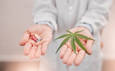 Opioids and cannabis use