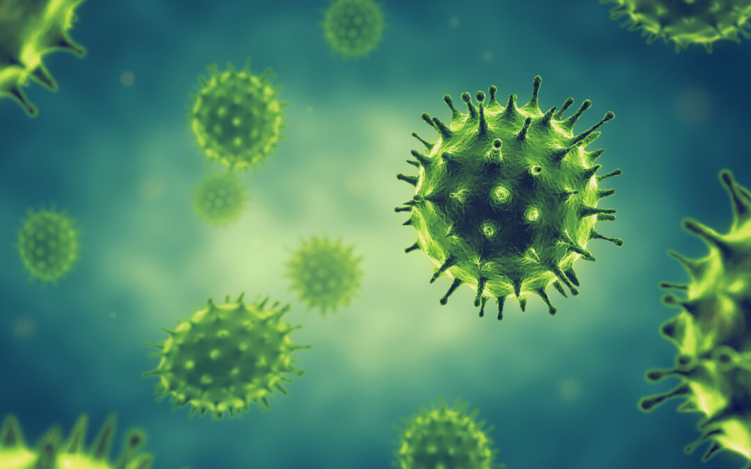 The four main viruses currently active in the community