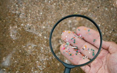 How worried should we be about microplastics?