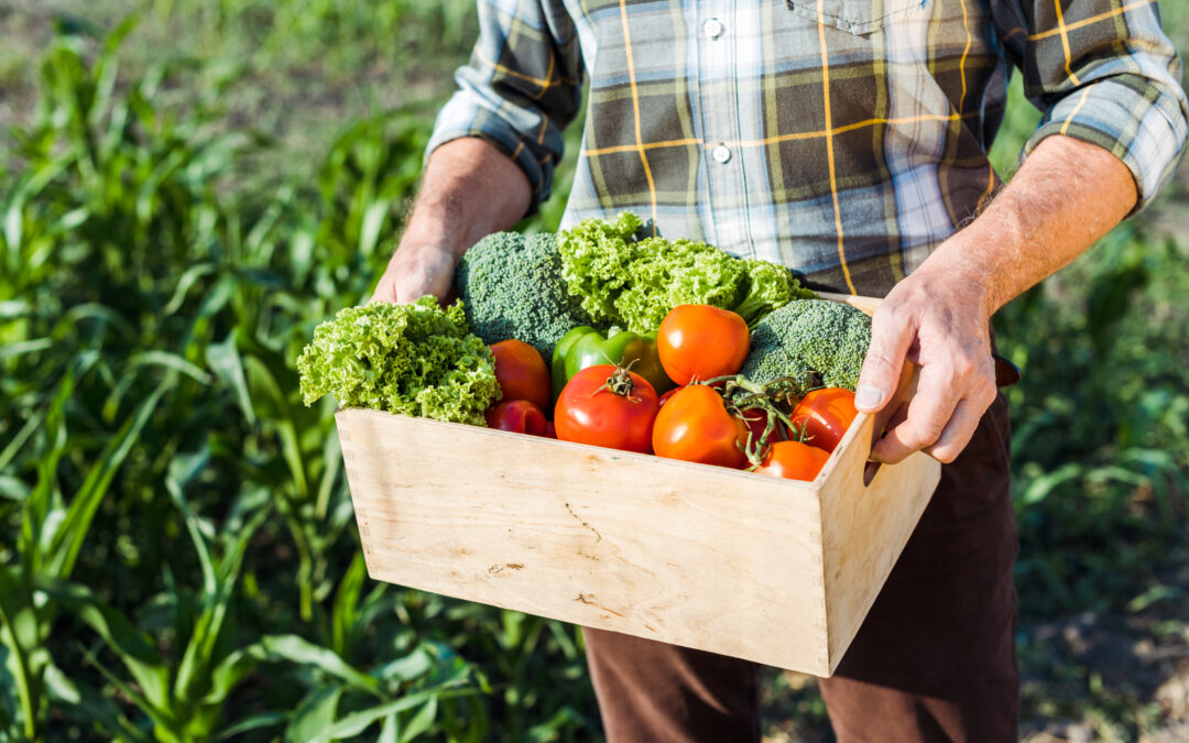 Is organic food worth the money?